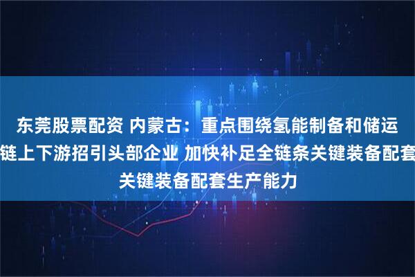 东莞股票配资 内蒙古：重点围绕氢能制备和储运环节产业链上下游招引头部企业 加快补足全链条关键装备配套生产能力